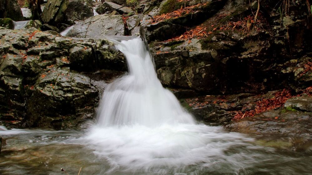 회문산 자연휴양림 예약