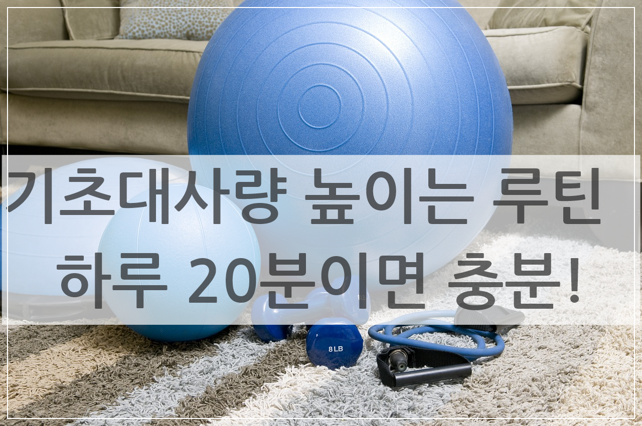 기초대사량 높이는 루틴, 하루 20분 투자로 바뀐 몸