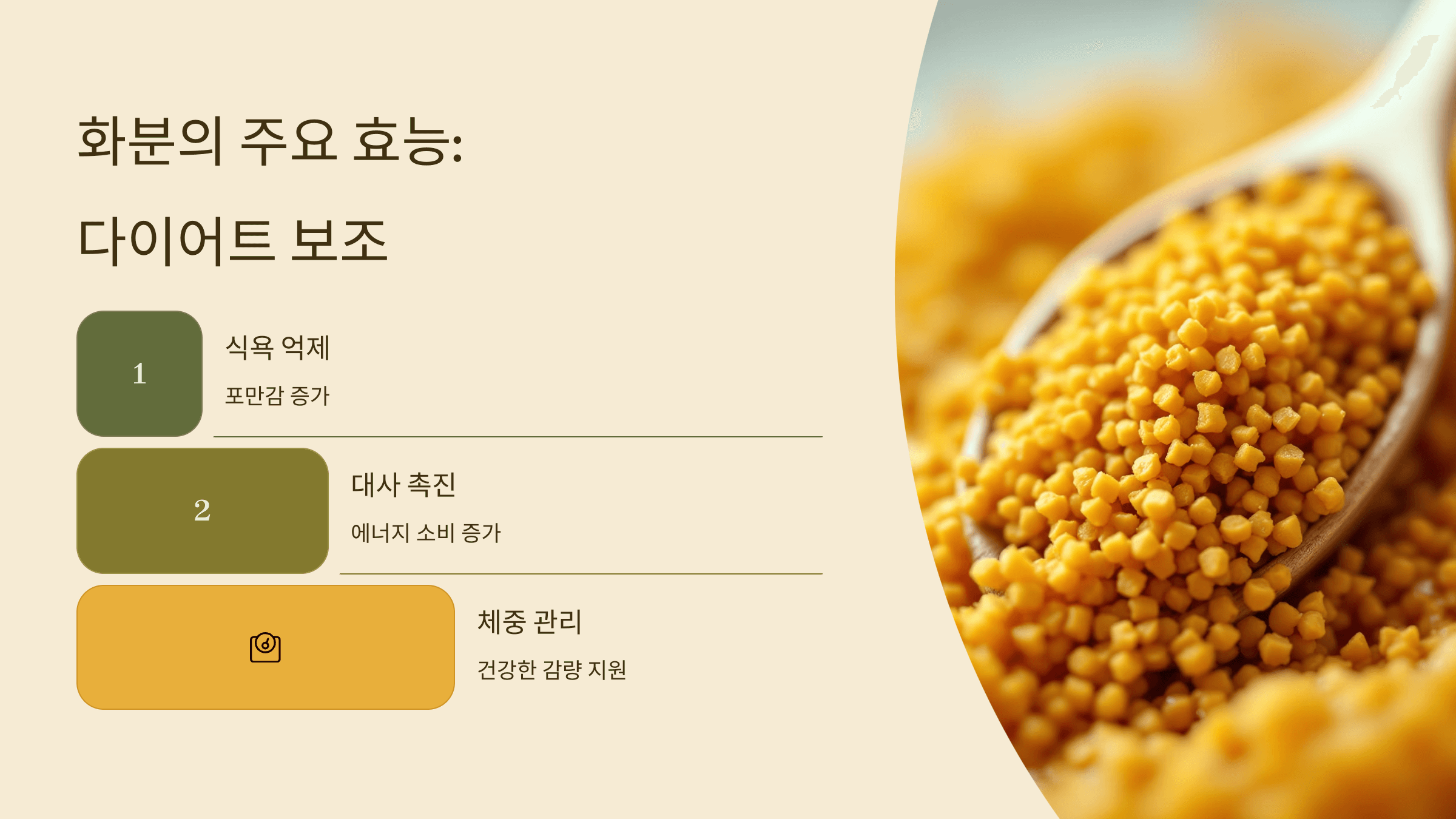 화분 사진입니다.
