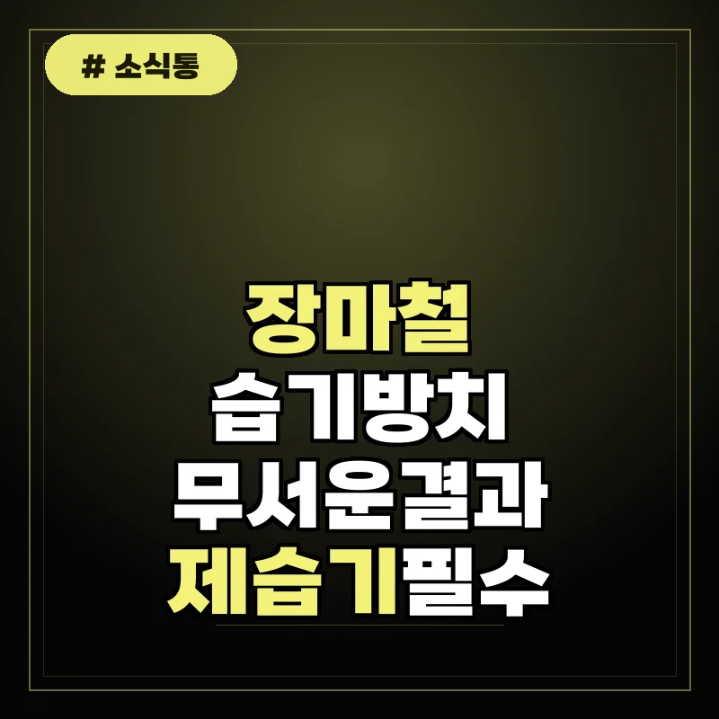 혹시 냄새나는 집 장마철 습기 방치하면 생기는 5가지 무서운 문제들