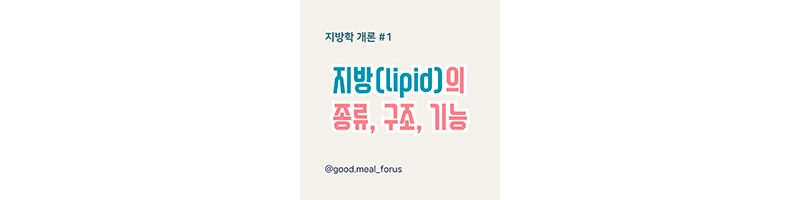 지방-종류-구조-기능-lipid