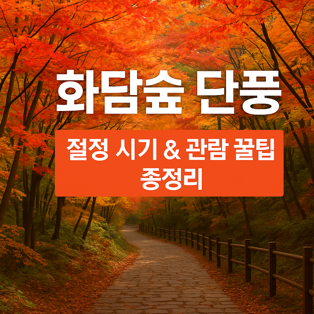 화담숲 단풍