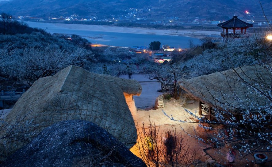 광양 매화축제 야경