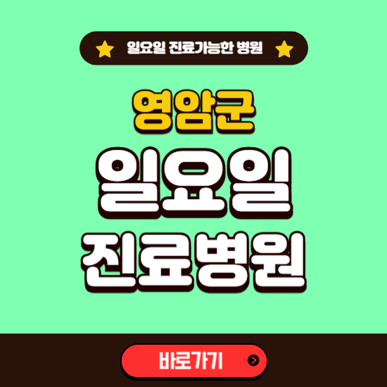 영암군 일요일 진료 가능한 병원 ❘ 주말 문여는 곳 총정리 (소아과, 내과, 안과, 치과, 피부과, 정형외과, 산부인과)