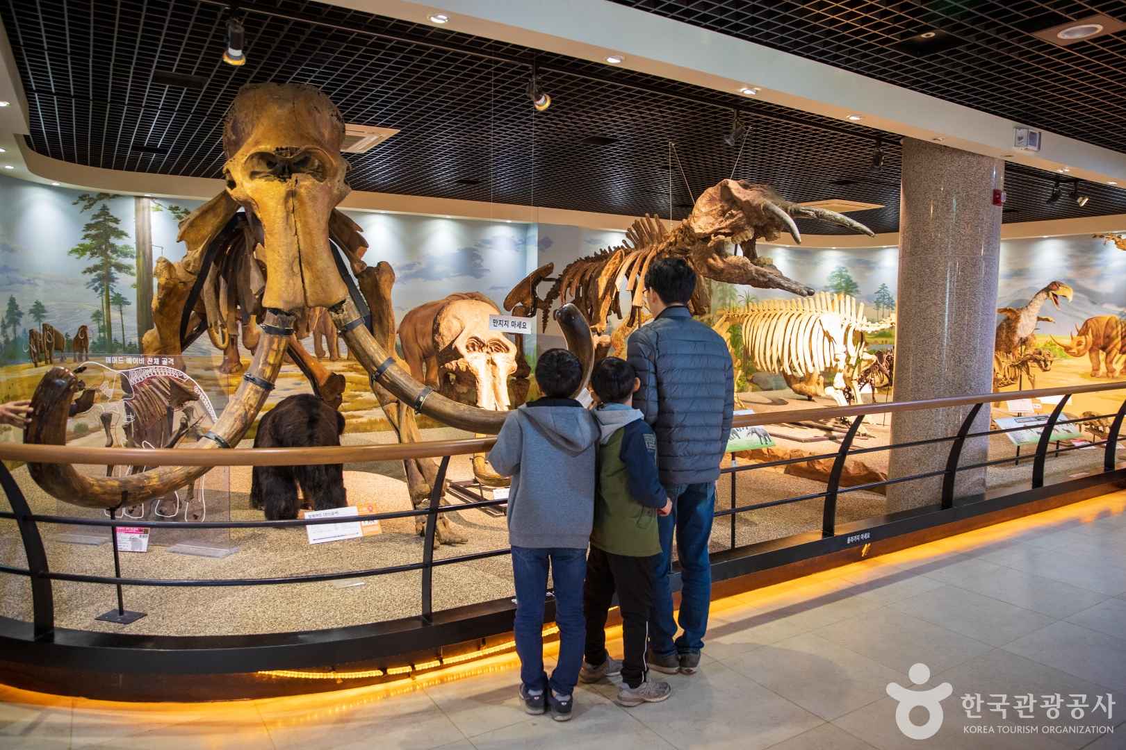 안면도쥬라기박물관