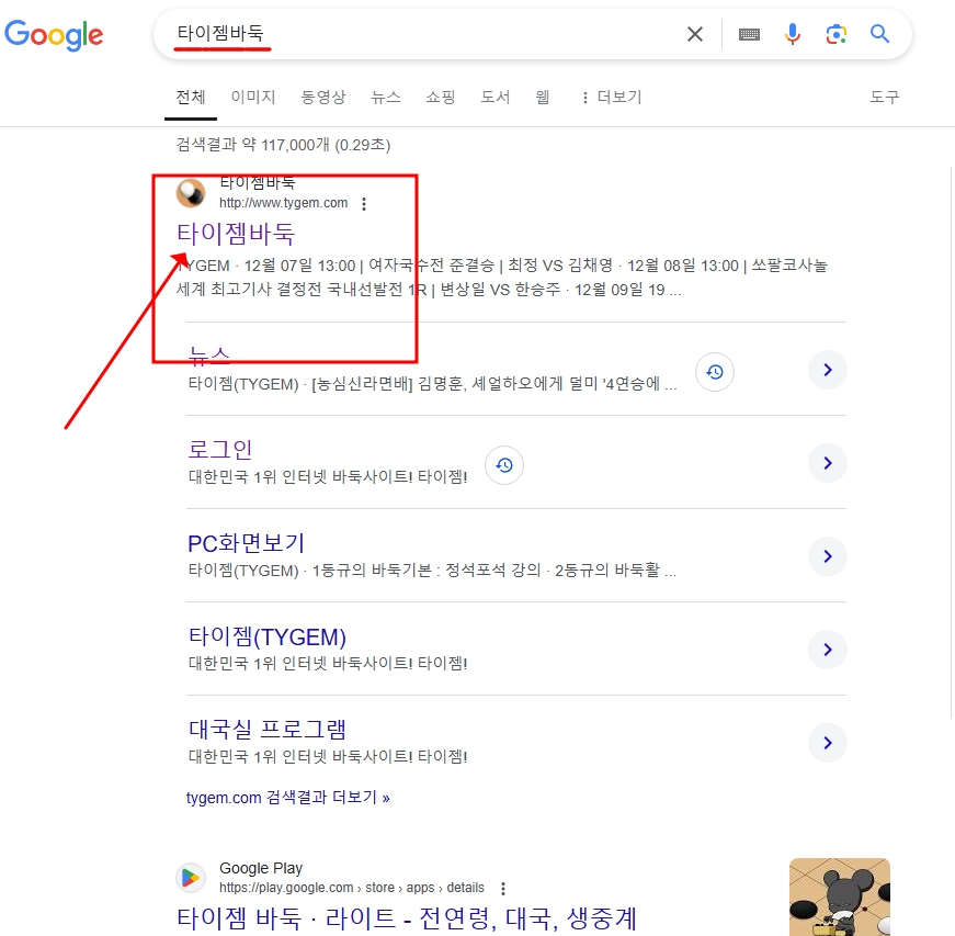 타이젬01