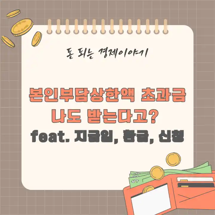 본인부담상한액 초과금, 나도 받는다고? feat. 지급일, 환급, 신청