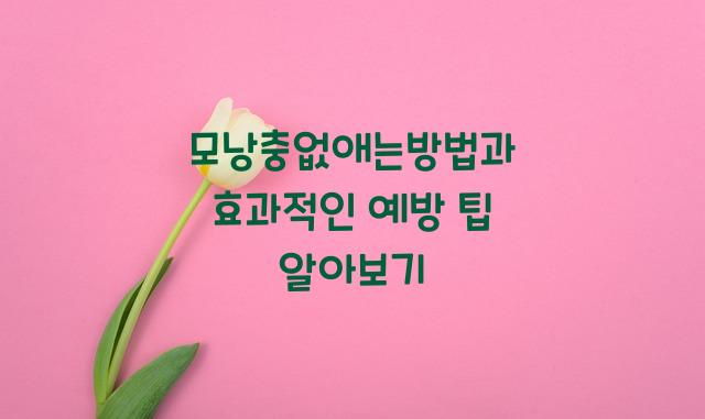 모낭충없애는방법