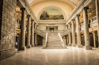 국회 청원 사이트 바로 확인 17