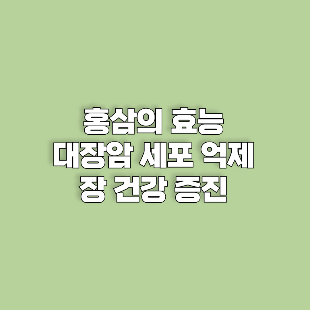 홍삼의 놀라운 효능: 대장암 세포 억제와 장 건강 증진