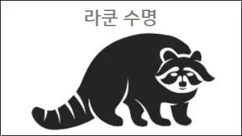 라쿤 수명