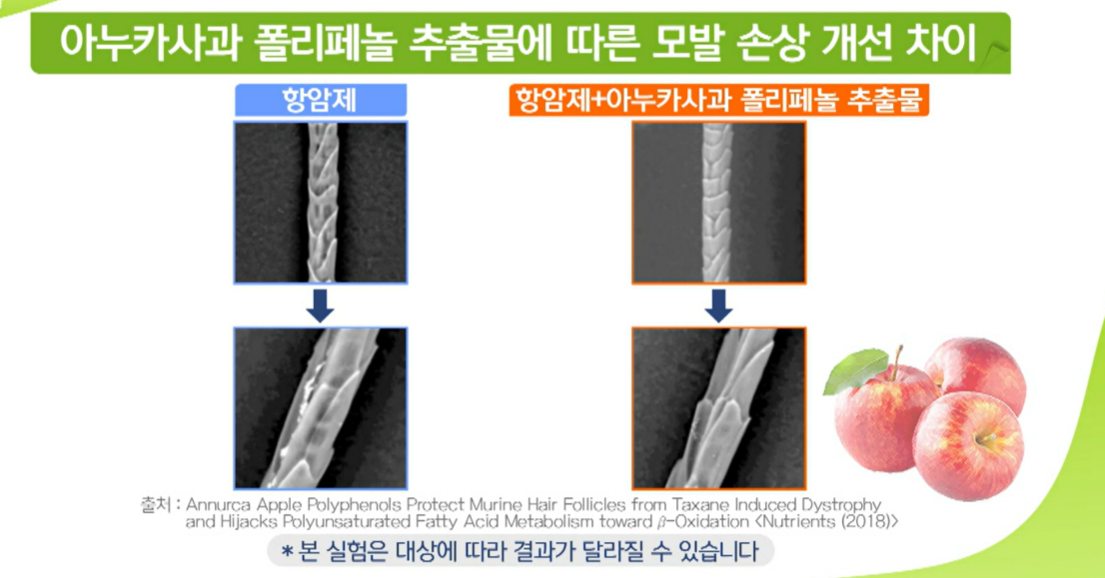아누카 사과 분말
