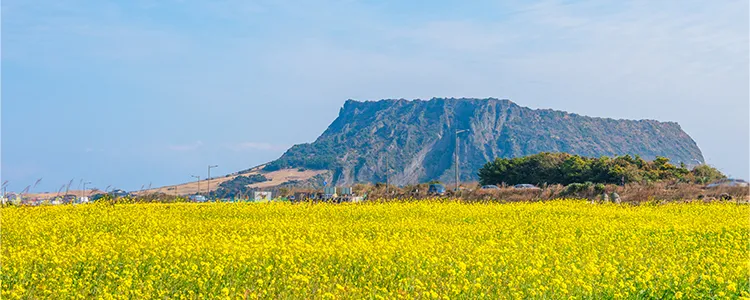제주도-성산일출봉-풍경-사진