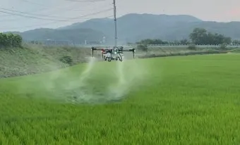 농사 병해충 예방법 진딧물 응애 노균병 탄저병 대처_12