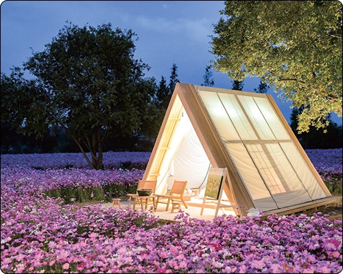 순천 정원박람회 입장료