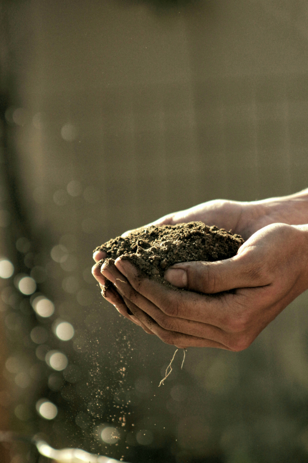 발달장애 아동 부모 지원금 혜택과 신청 방법