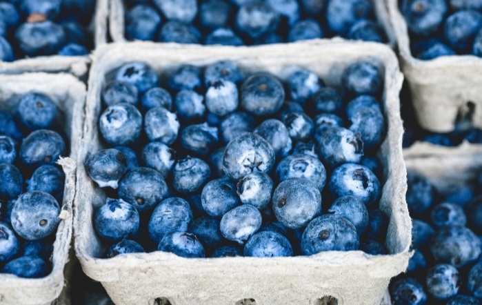 세계10대 슈퍼푸드 블루베리