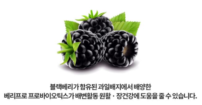 블랙베리 프로바이오틱스-효과