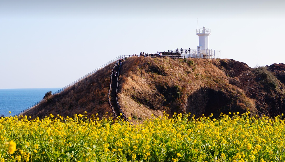 제주도의 모습