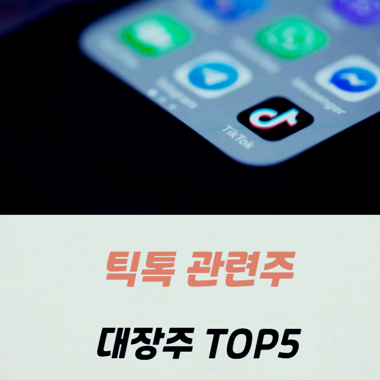 틱톡 관련주 대장주 테마주 수혜주 TOP5