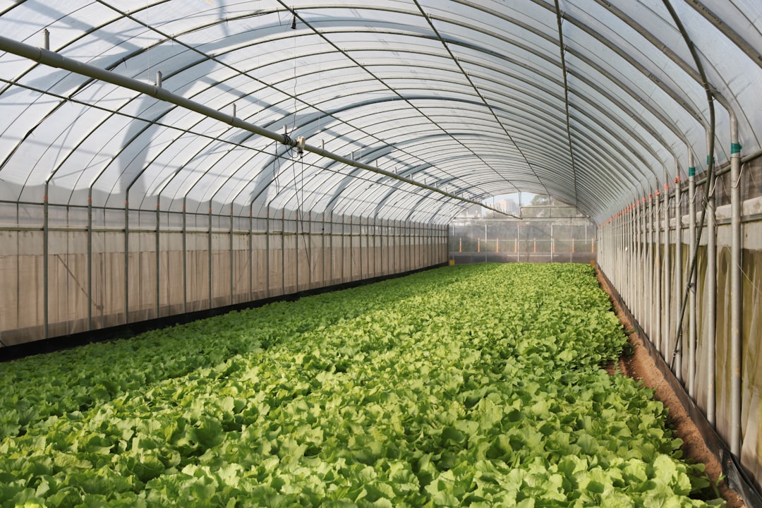 Greenhouse