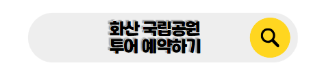 하와이 신혼여행