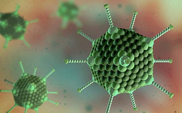 아데노바이러스 전염