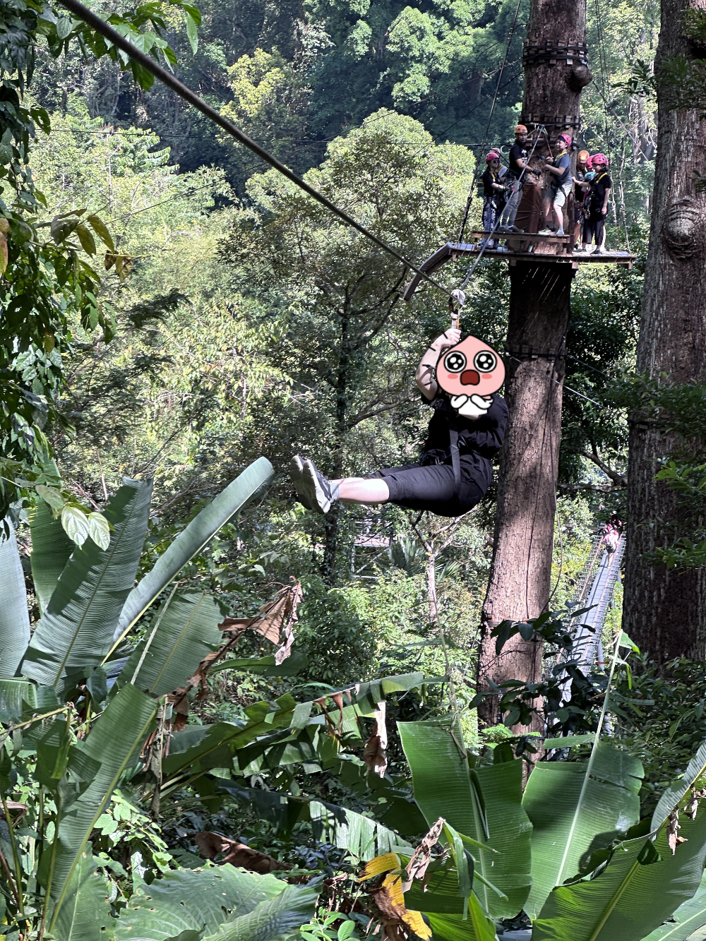 하누만 월드 짚라인 타는 모습