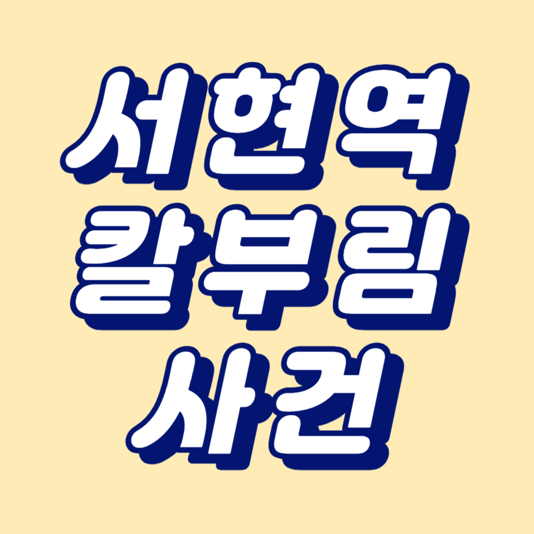 서현역 칼부림 사건