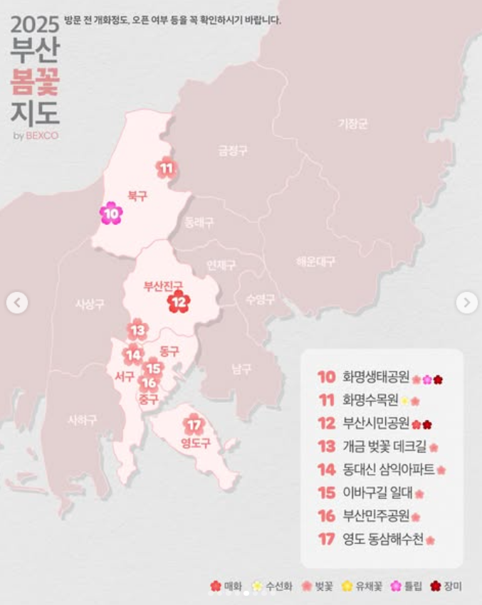 2025 부산 봄 꽃구경 지도