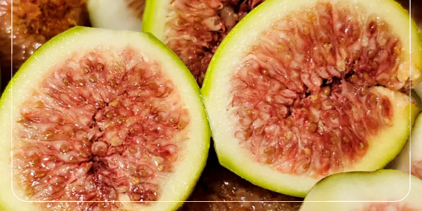 무화과의 효능과 항산화56