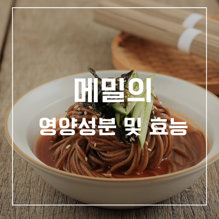 메밀의 영양성분 및 효능