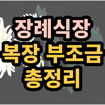 국화꽃-배경의-썸네일-글씨