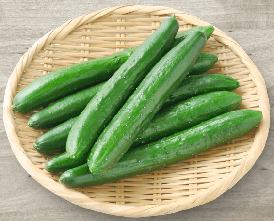 오이소박이 무르지 않게 맛있게 담그는 법