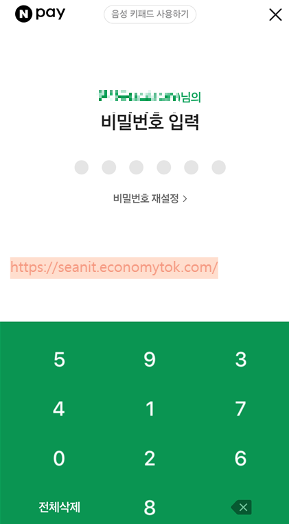 출처 : 내핸드폰. 네이퍼페이 비밀번호입력