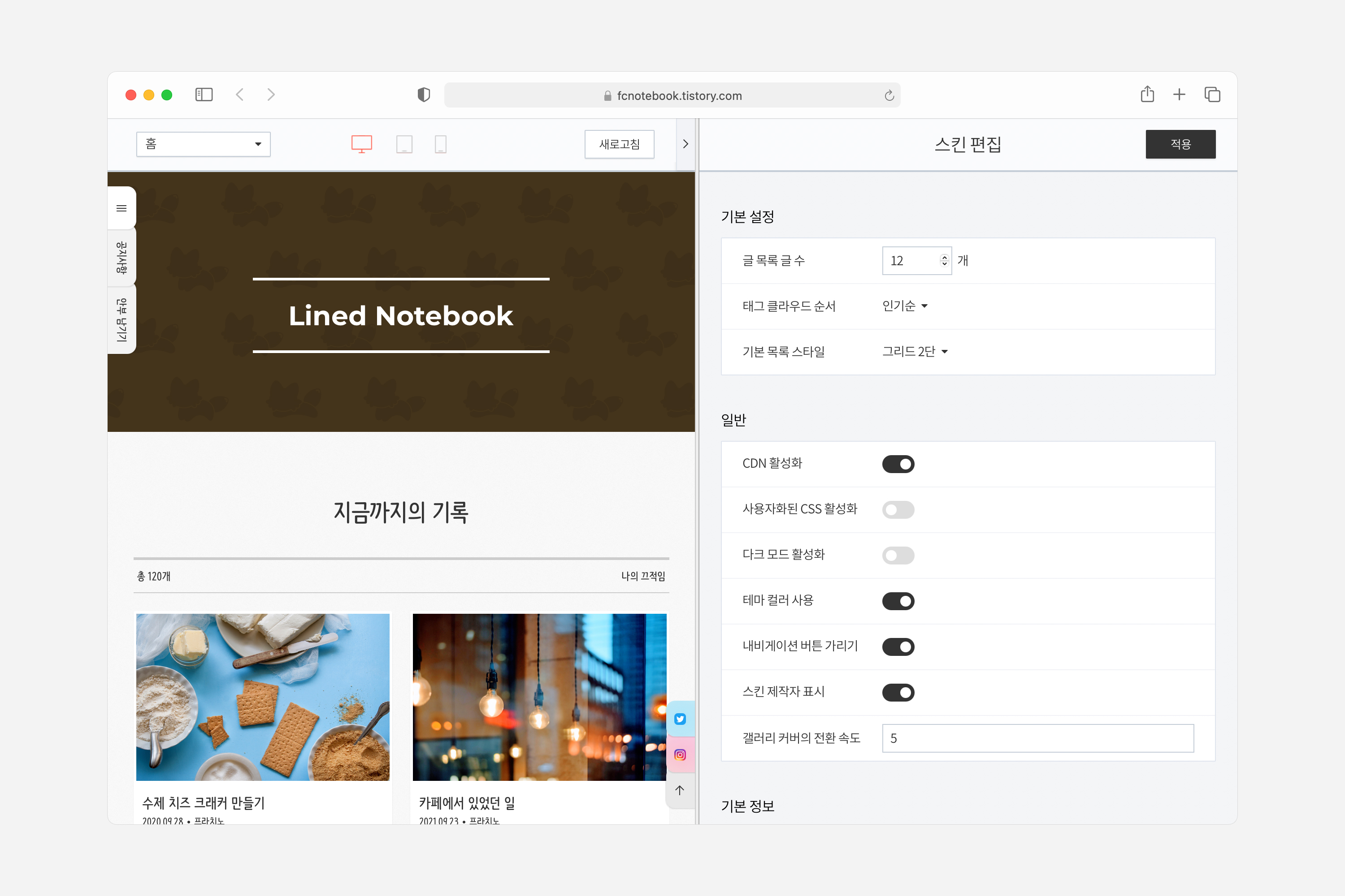 스킨 옵션의 기본 설정 항목