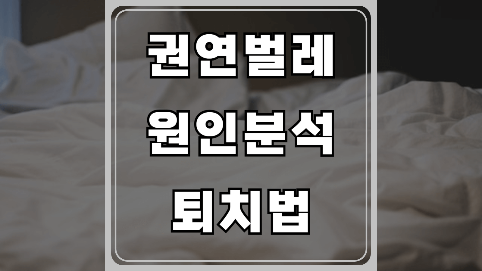 권연벌레 원인분석과 퇴치법