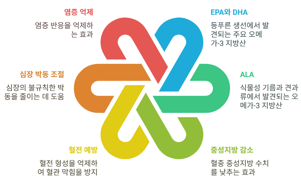 오메가-3 지방산의 심혈관 이점