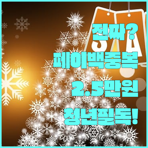 기후동행카드 청년 할인과 페이백 중복..