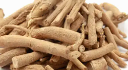 아슈와간다 이미지사진