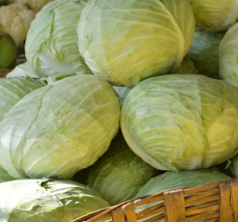 역류성식도염에 좋은 음식 영양제 식단