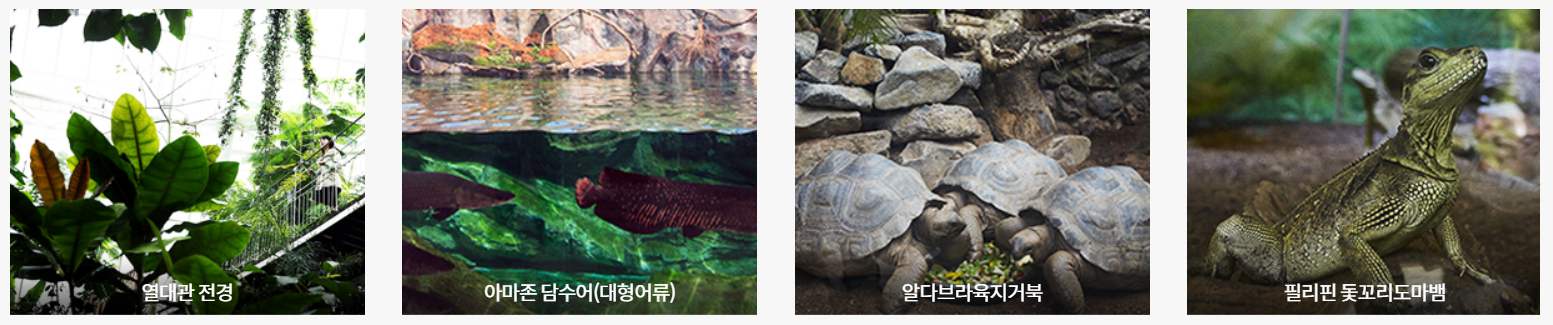 충남 서천 국립생태원 에코리움: 세계 5대 기후 체험과 주요 전시관, 백패커 방문