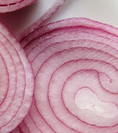 양파 효능 사진33