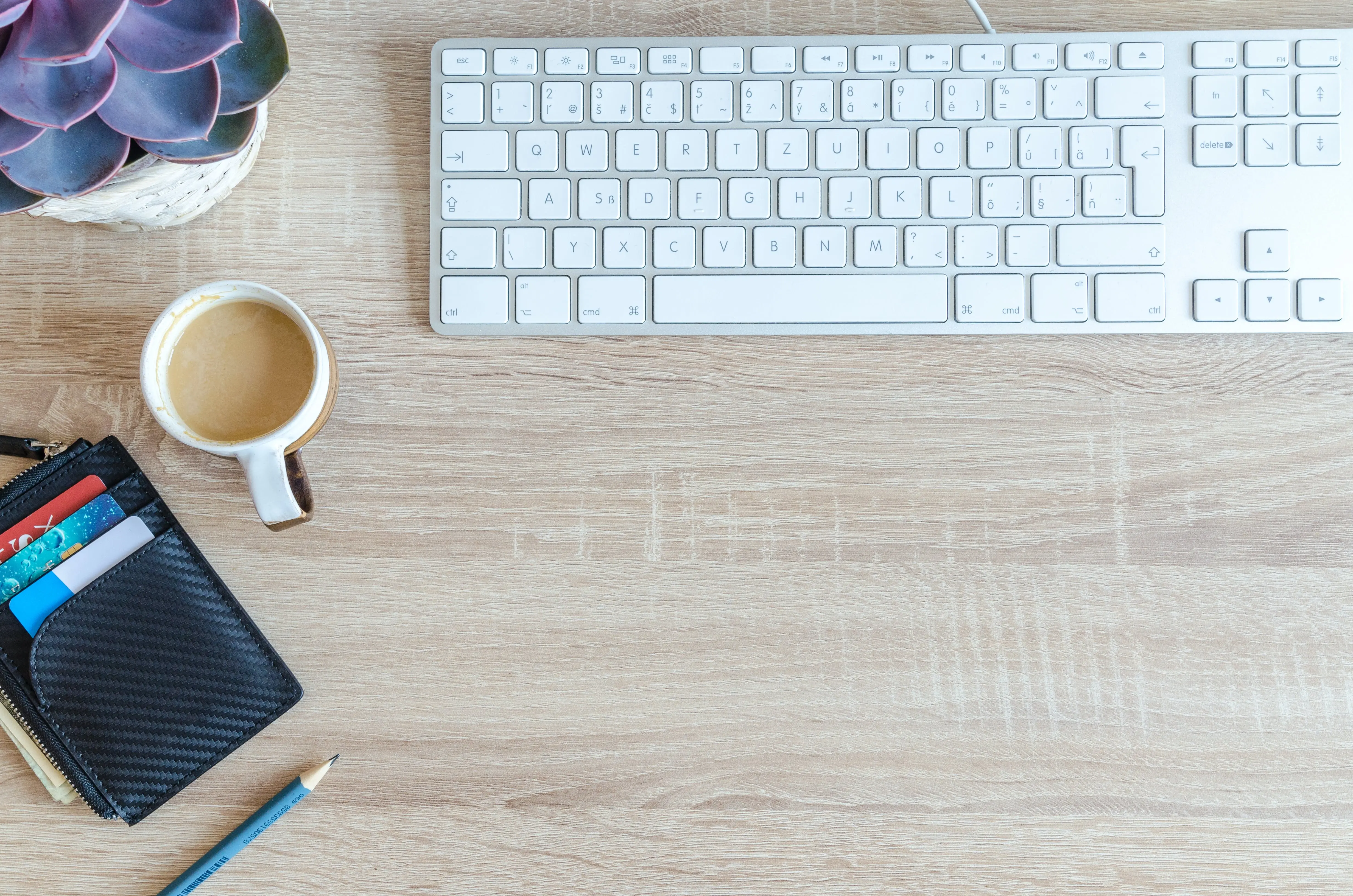 초등학생지원금