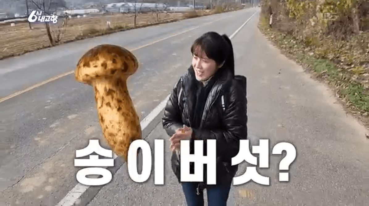 [6시내고향]충남 천안 참송이버섯 아산 딸기 &amp;#39;다울농장&amp;#44; 썬비딸기&amp;#39; 택배 판매 연락처 정보