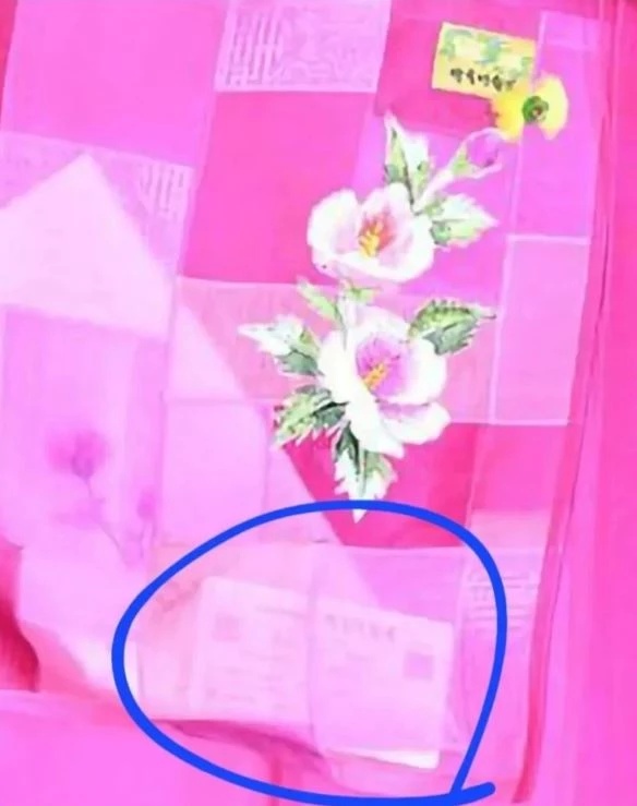 바비 마고로비 내한