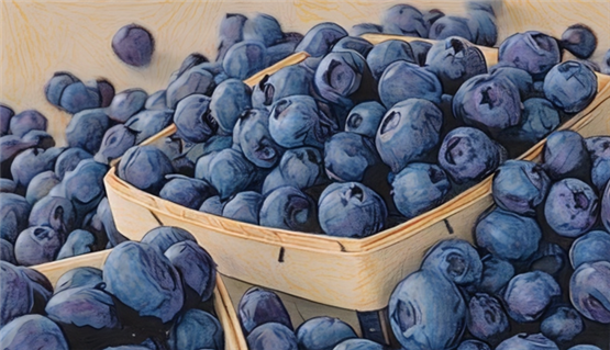 블루베리의 아토시아닌과 플라보노이드 성분이 체내에서 항산화제로 작용(일러스트)