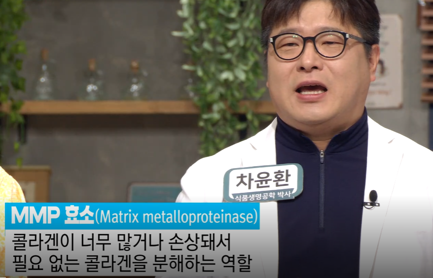 로즈마리추출물 효능