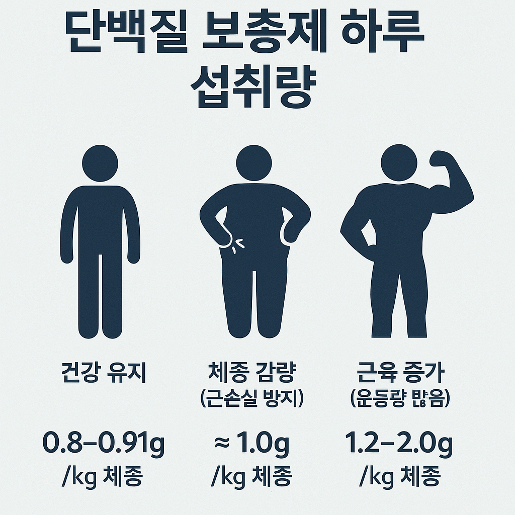 단백질 보충제 섭취량