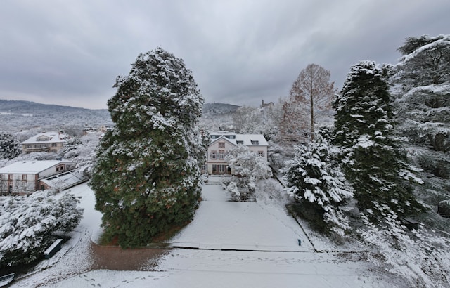 내 집 앞 눈 치우기 의무 과태료 배상 책임 총정리